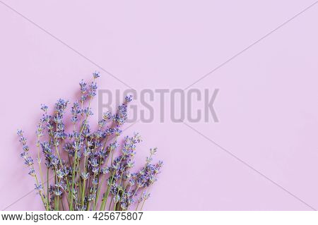 Beautiful Lavender Floers On A Violet Pastel Background. Flat Lay. Place For Text.