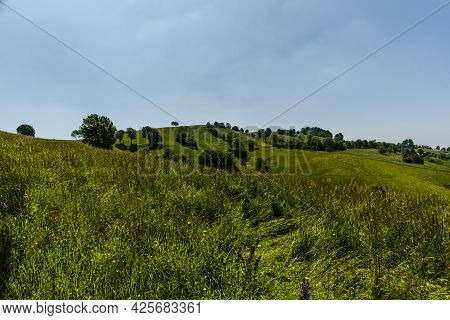 2021 06 13 Lessini Flowering Spring 5