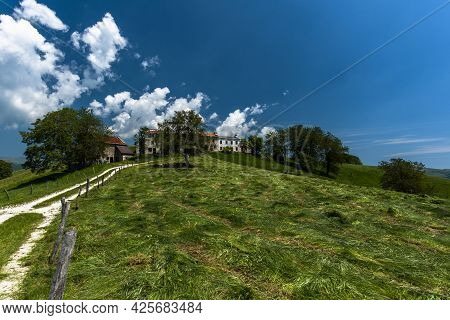 2021 06 13 Lessini Freshly Mown Grass