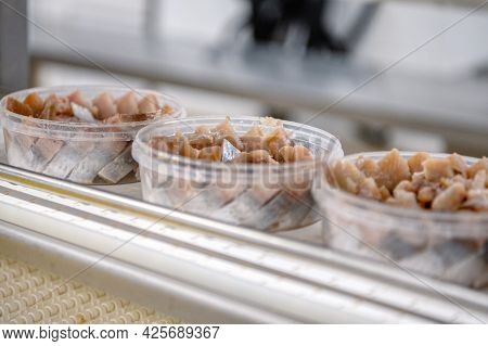 Pieces Of Herring Fillet In Plastic Cans On A Conveyor. Canned Fish Making.
