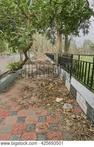 Super Cyclone Amphan Uprooted Tree Which Fell And Blocked Pavement. The Devastation Has Made Many Tr