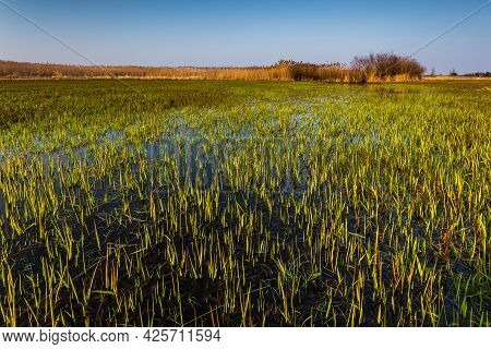 Spring At Warta River In Warta Landscape Park, Nature 2000, Greater Poland, Poland.