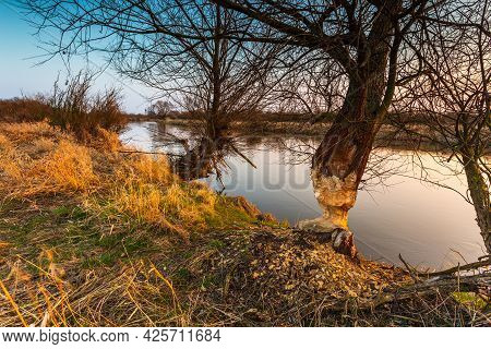 Spring At Warta River In Warta Landscape Park, Nature 2000, Greater Poland, Poland.
