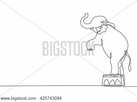 Single One Line Drawing Of An Elephant Stands On A Circus Chair With Its Forelegs Raised. Very Good 