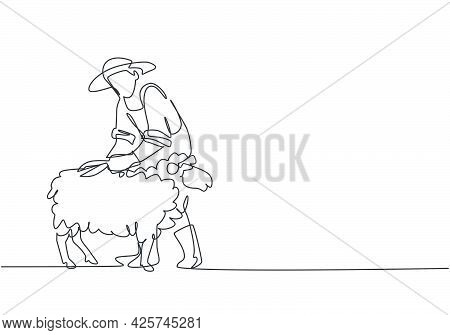 Continuous One Line Drawing Young Male Farmer Was Carefully Shearing The Fleece Using Scissors. Succ