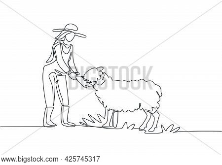 Single Continuous Line Drawing Young Female Farmer Is Feeding The Sheep So That The Sheep Will Be He