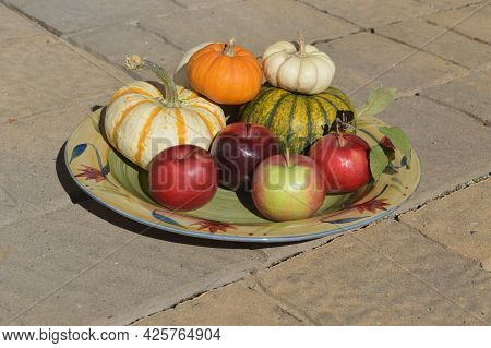Thanksgiving Themed Photo In Autumn Bright Colors With Harvest Apples And Cute Pumpkins In A Stylish