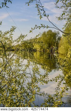 The Nature Of The Native Land
When Coming To The Village Or Walking Through The Forest, Each Of Us S