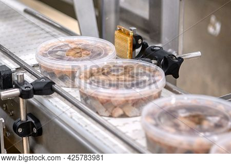 Pickled Pieces Of Herring Fillets In Plastic Cans On A Conveyor. Canned Fish Making.