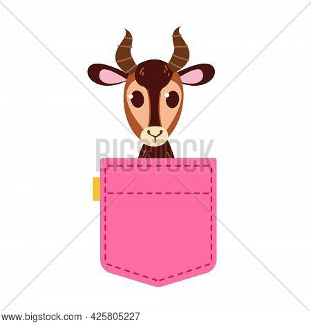 A Cute Pink Jeans Pocket With A Horned Gazelle Peeking Out. Print For Girls. Template For Text. Vect
