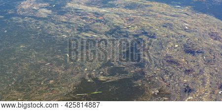 Grass On Water At Dry Sunny Summer Day