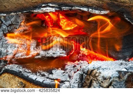 Campfire, Closeup Of Burning Wood And Ash