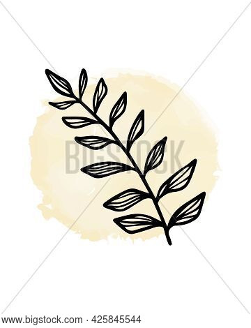 Branch With Leaves On Watercolor Round Spot Background. Hand Drawn Plant Sprig For Social Media Cove