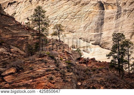 Two Hikers Coming Down Ridge From Angels Landing In Zion