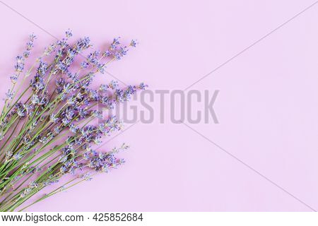 Beautiful Lavender Floers On A Violet Pastel Background. Flat Lay. Place For Text.