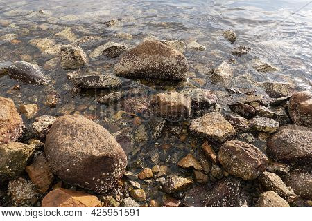 Stones Rock In Sea On Beach Nature Ocean