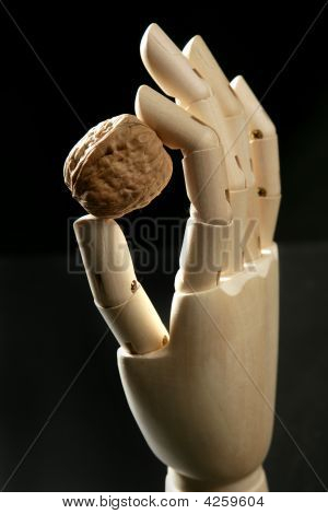 Manekýn dřevěná ruka drží jeden ořech