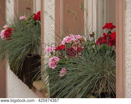 the city of steinfurt in the german westphalia