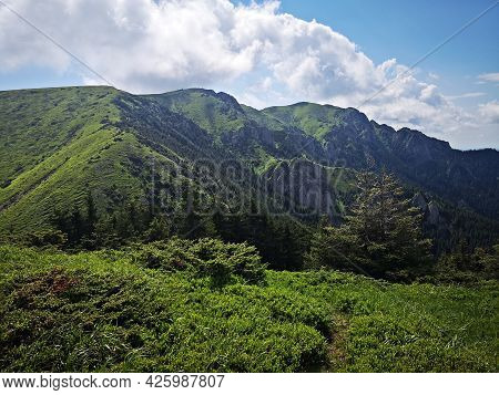 Summer Landscape In The Mountains. Beautiful Day For Hiking