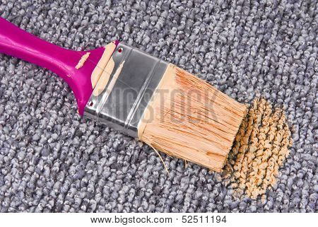 stained carpet with paint brush