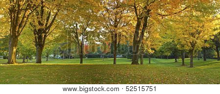 Public Park Panorama Gresham Oregon.