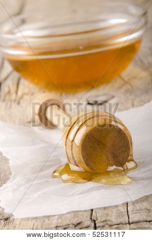 Honey Dripper With Some Bee Honey