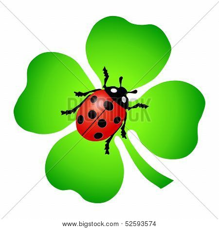 Green Cloverleaf