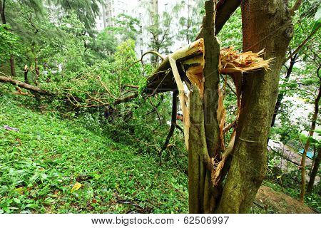 Demaged after typhoon