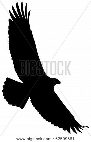 eagle flight silhouette