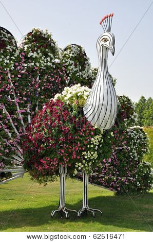 Dubai Miracle Garden in the UAE