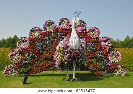 Dubai Miracle Garden in the UAE