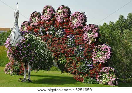 Dubai Miracle Garden in the UAE