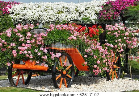 Dubai Miracle Garden in the UAE