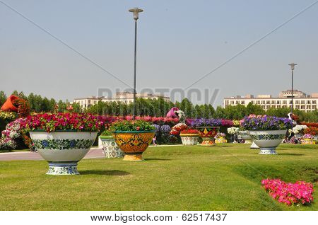 Dubai Miracle Garden in the UAE