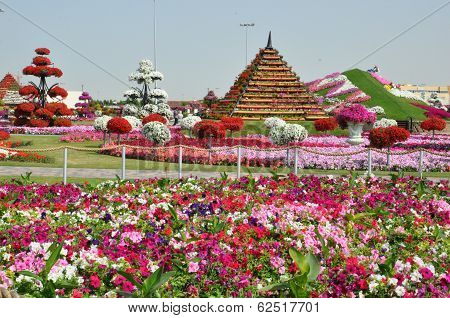 Dubai Miracle Garden in the UAE