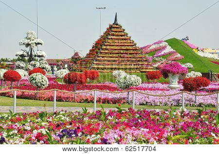 Dubai Miracle Garden in the UAE