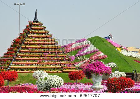 Dubai Miracle Garden in the UAE