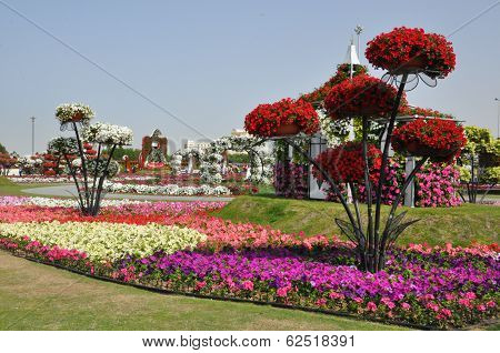 Dubai Miracle Garden in the UAE
