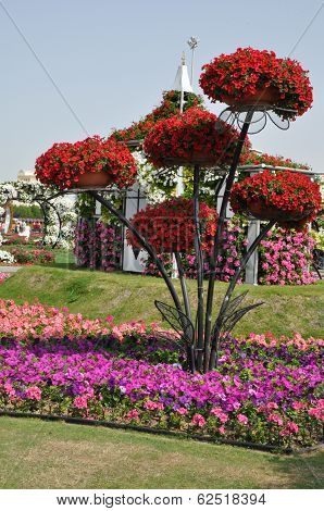 Dubai Miracle Garden in the UAE