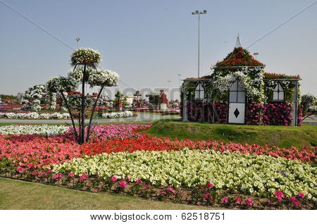 Dubai Miracle Garden in the UAE