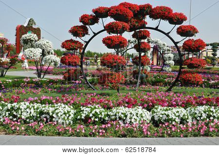 Dubai Miracle Garden in the UAE