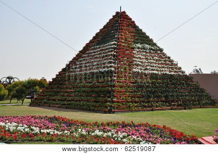 Dubai Miracle Garden in the UAE