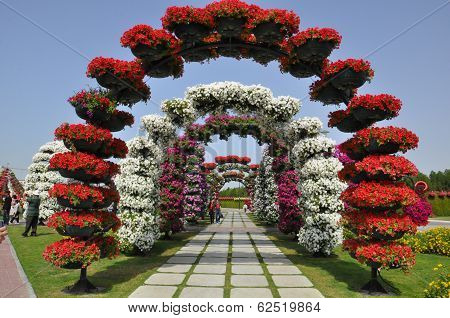 Dubai Miracle Garden in the UAE,