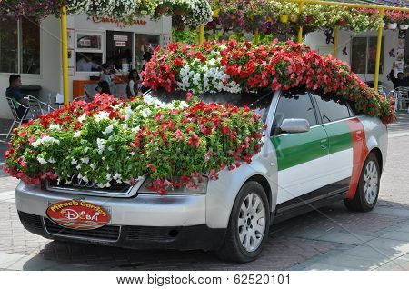 Dubai Miracle Garden in the UAE,