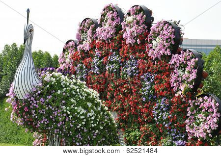 Dubai Miracle Garden in the UAE