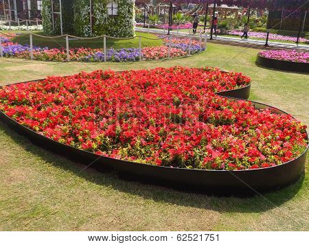 Dubai Miracle Garden in the UAE