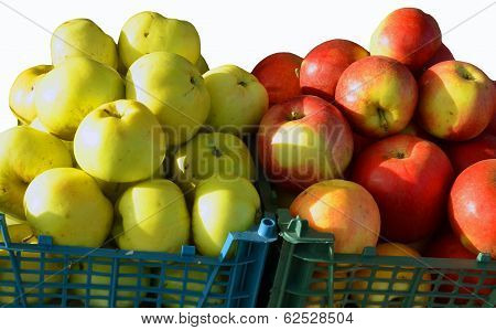 Apples In Two Baskets For Sale