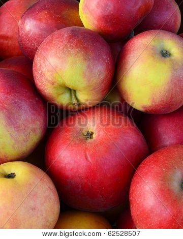 Pile Of Red Apples Closeup