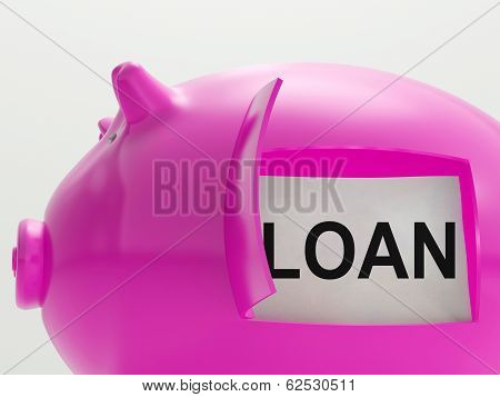 Loan Piggy Bank Means Money Borrowed Or Creditor