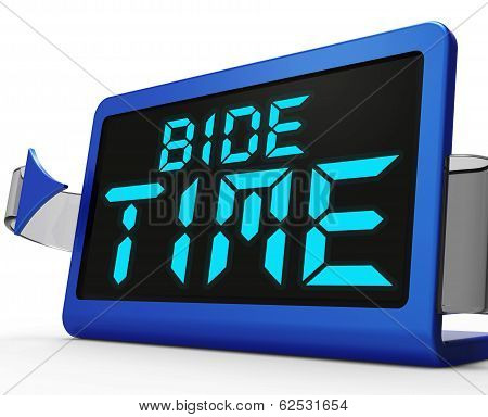 Bide Time Clock Means Wait For Opportune Moment